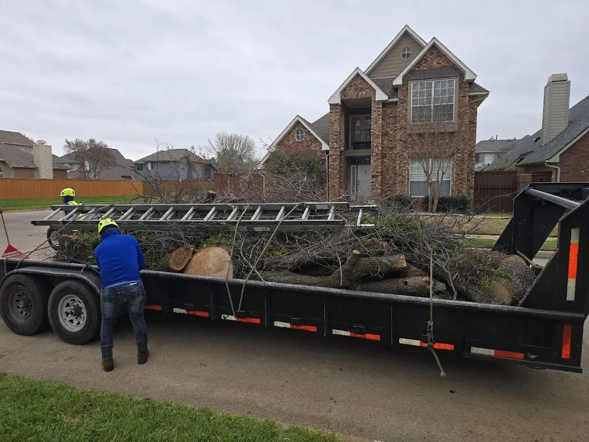Expert Tree Removal with proper safety equipment in Pierrepont Manor